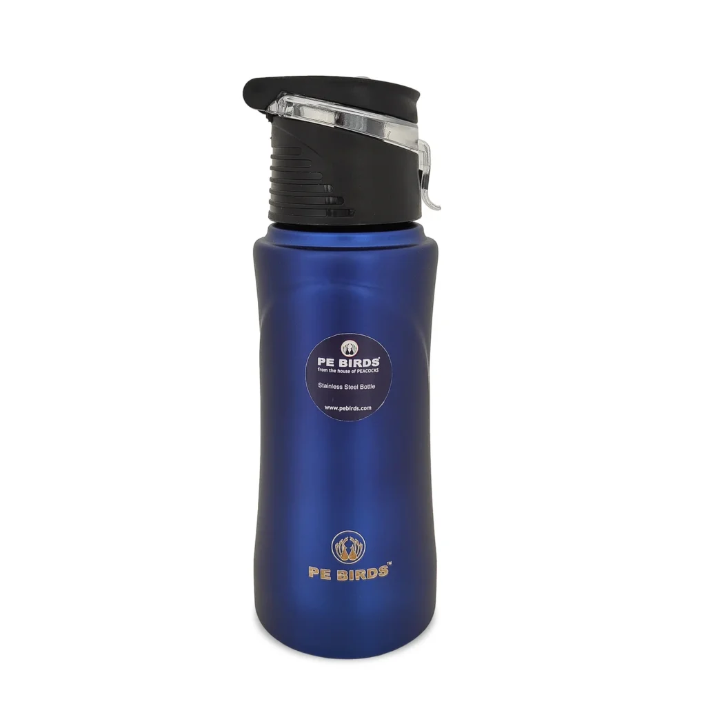 PE BIRDS Tiny Tot 600ml Stainless Steel Sipper Water Bottle – Leak-Proof, Durable & Stylish